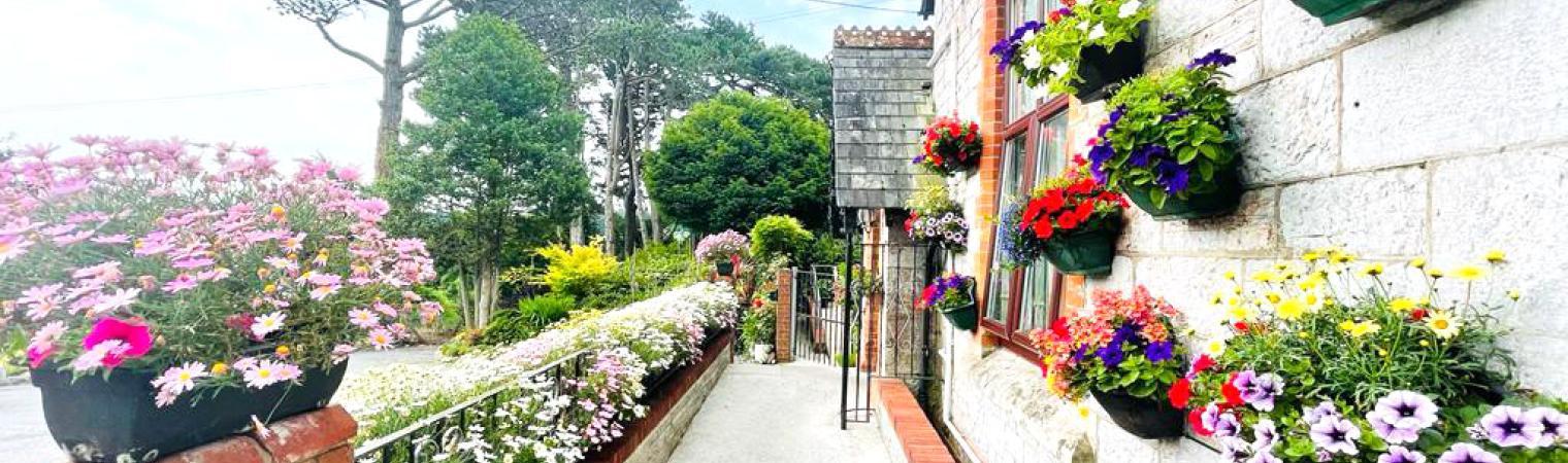 Photo of flowers outside entrance of Plymbridge House